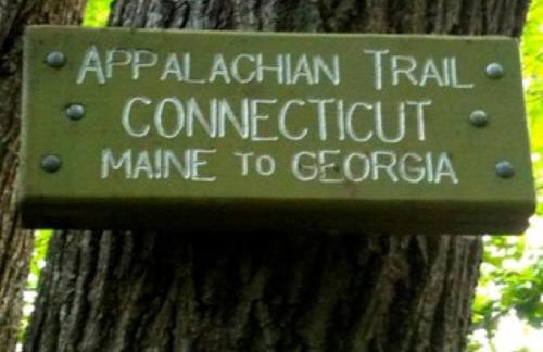 Walk to the Outfield of Lime Rock Park - Foto 30