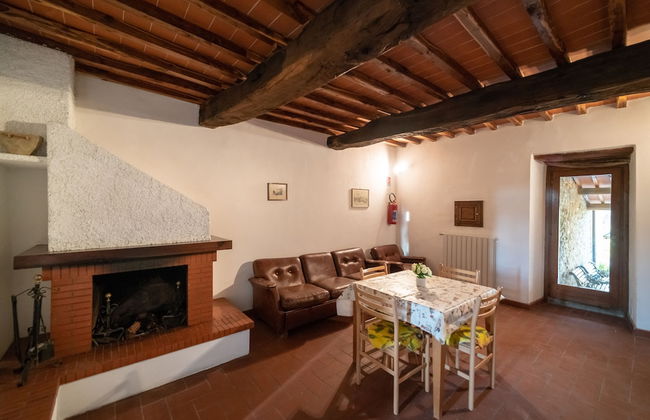 Fattoria di Cintoia - Photo 31