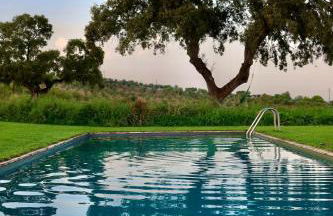 MONTE DA FIFAS Alentejo, Montargil - Foto 45