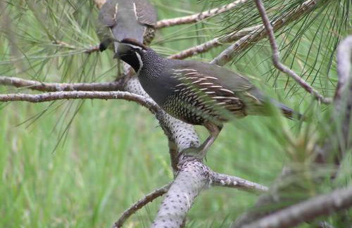 Tunk Valley Ranch House - Foto 4