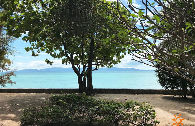 Sunshine Residence - Photo 41