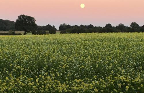 Ferienwohnung Basthorst - Foto 9