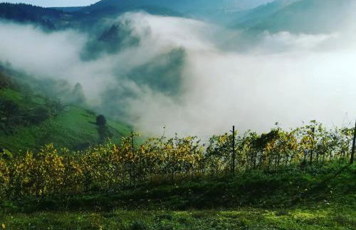 Ferienhof Giedensbach - Foto 23