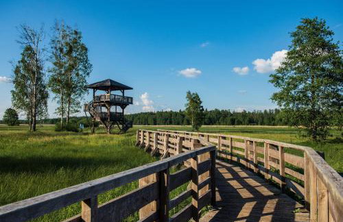 Agroturystyka u Wojtka - Foto 33