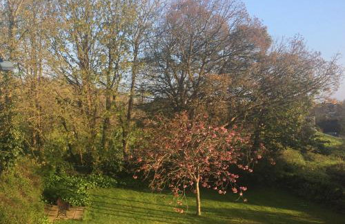 Luxury City Centre Apartment, Exeter. - Photo 6