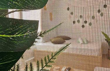 Happy Studio - Foto 15