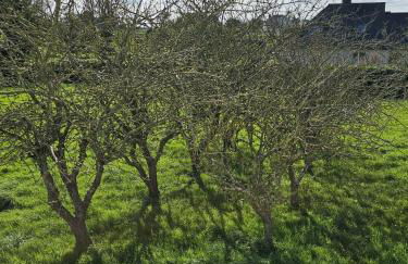 Maison de famille en Bretagne - 5 chambres, jardin, proche du littoral - Photo 19