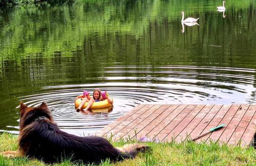 Domek de Janauis - Foto 53