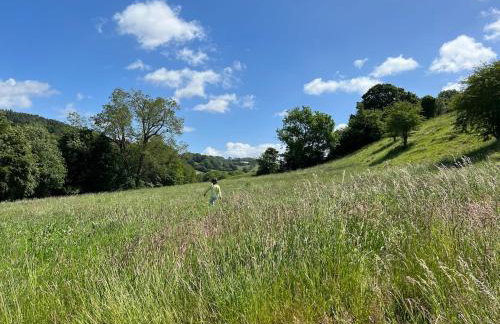 Hilly Haven & Luxury Wagon in the Forest of Dean - Foto 55