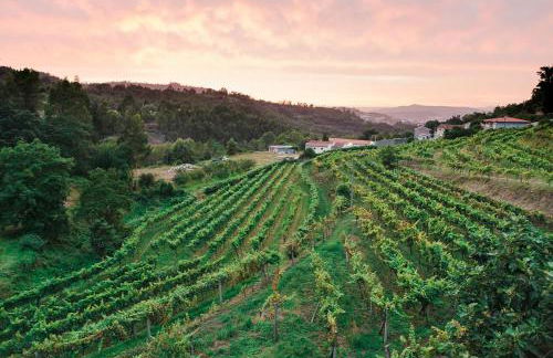 Quinta Da Longra - Foto 26