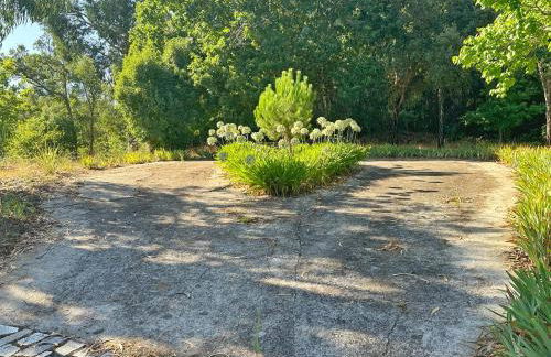 Quinta Do Pereiro - Foto 20