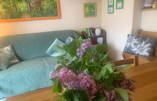 Sasso Rosso - Photo 9