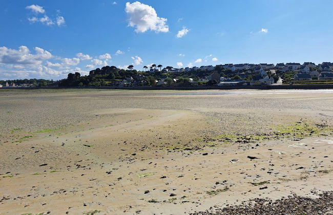 XXL Holiday Home Directly by the sea - Foto 51