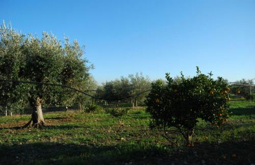 Agriturismo - "La Funicolare" - Photo 24