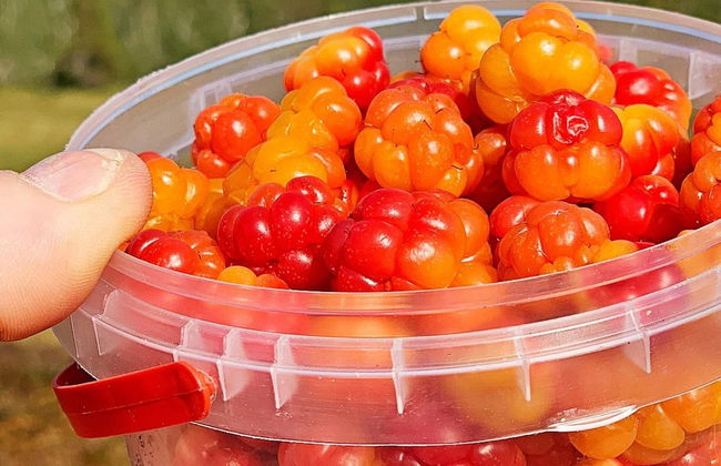 7 Person Holiday Home in Jarfjord-by Traum - Photo 33