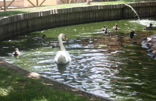 Apartamento Turistico Cigüeña de Arguedas - Foto 76