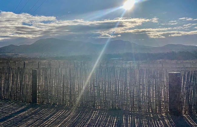 Double R Guest Ranch - Photo 27