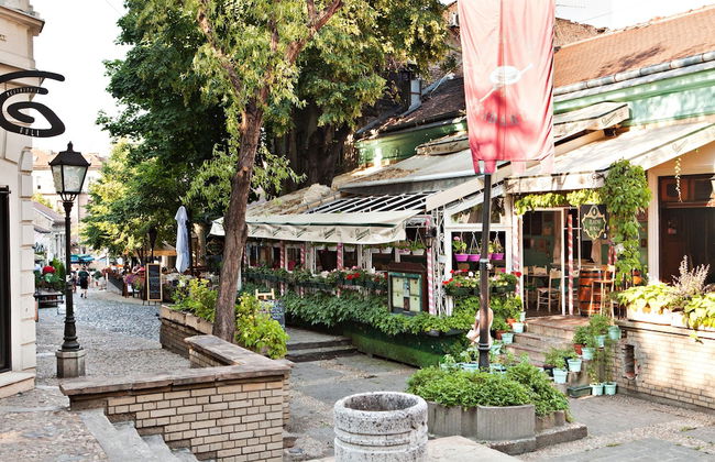 Feel Belgrade Bohemian Apartment - Foto 23