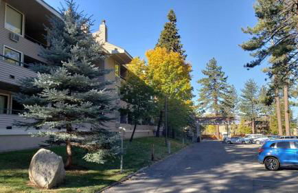 Lakeland Village #110 - Foto 36