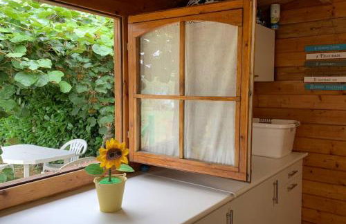 Quinta Pedro e Inês - Foto 18