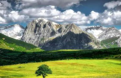 Maison en Pierre - Foto 75