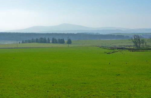 Sky Blue Cottage - Photo 9