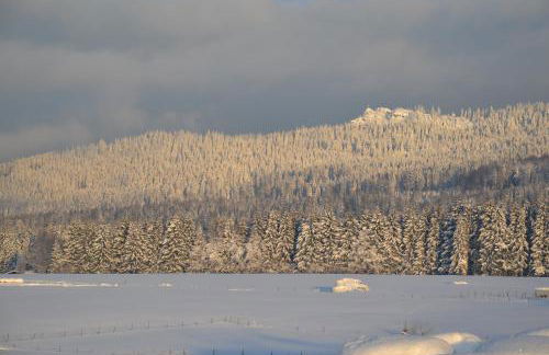 Hans Girgl Hof - Foto 41