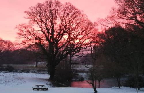 Charming picturesque cottage - nr Tenterden & Rye, pets welcomed - Foto 22