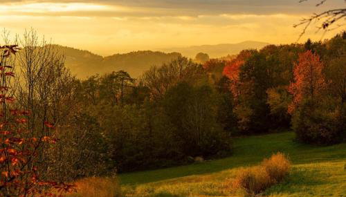 Ferienwohnungen Bauer - Auszeit mit Ausblick - Foto 2