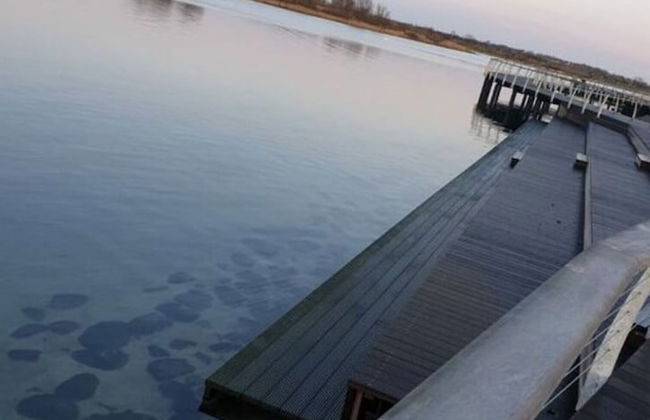 Island Nest Modern Retreat - Foto 22