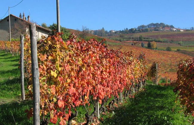 Agriturismo Il Gioco dell'Oca - Foto 52