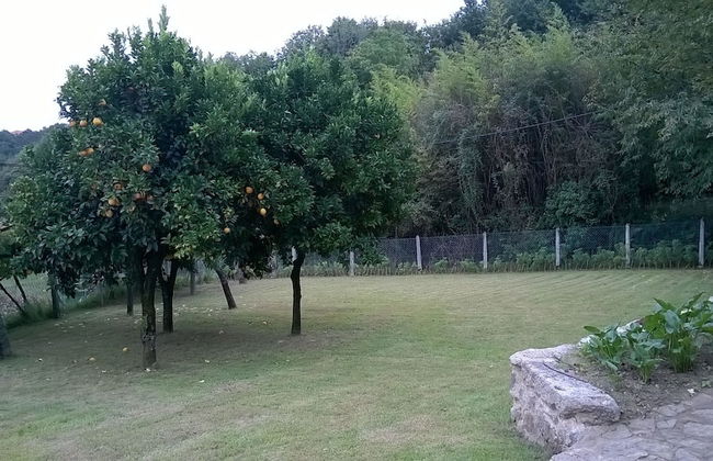 Casa da Pedreira - Foto 21