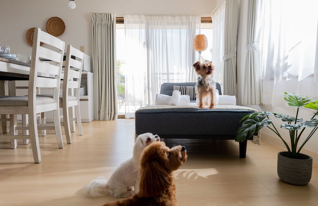 Little Santa - Foto 49