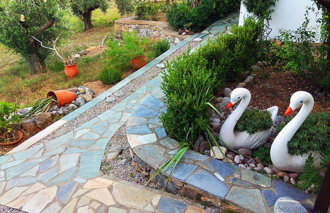 Flower Houses - Foto 42