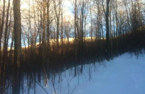 Meadow House Backcountry Residency - Foto 41