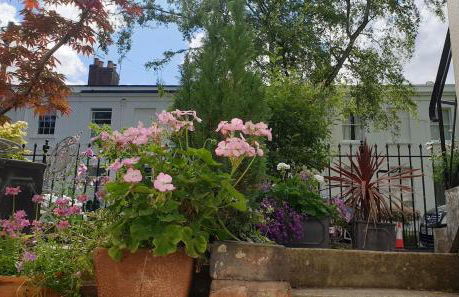 Stylish Garden Apartment in Central Cheltenham - Photo 10