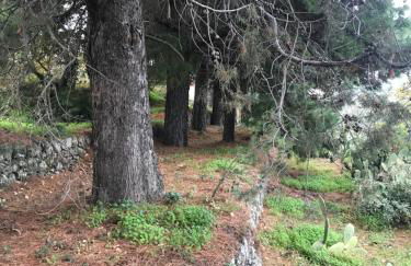 Casa Vacanze Etna - Foto 4