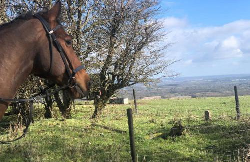 Brays Cottage, Inkpen - Perfect Country Time - Foto 54