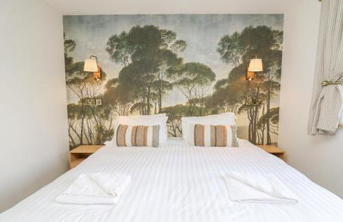 Barcud Coch - Red Kite - Photo 26