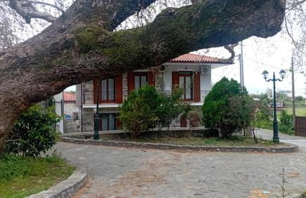 Villa Iris - Foto 13