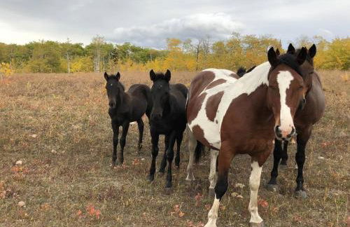 Glacier Ridge Chalet- An Incredible Rockies Panorama Part of the Glacier Ridge Vacation Rental Collection - Foto 26