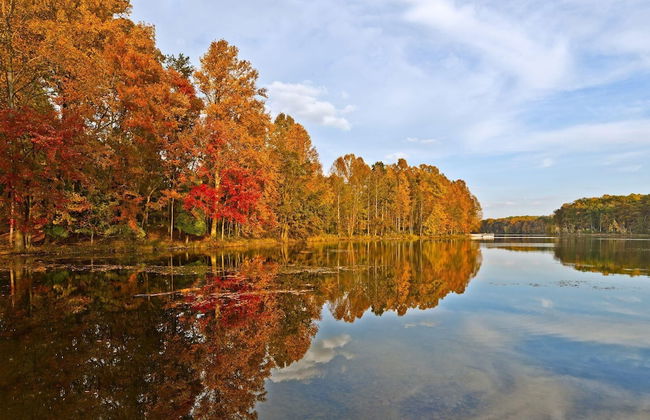 ARC HOTEL Washington DC, Georgetown - Photo 61