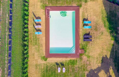 GOLDNATURE - Photo 20