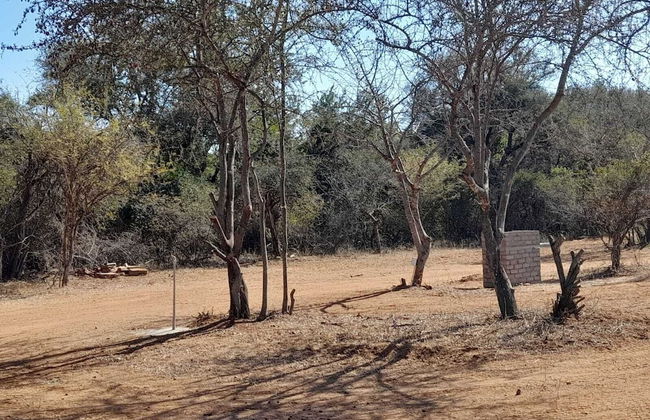 Bushriver Lodge - Foto 50