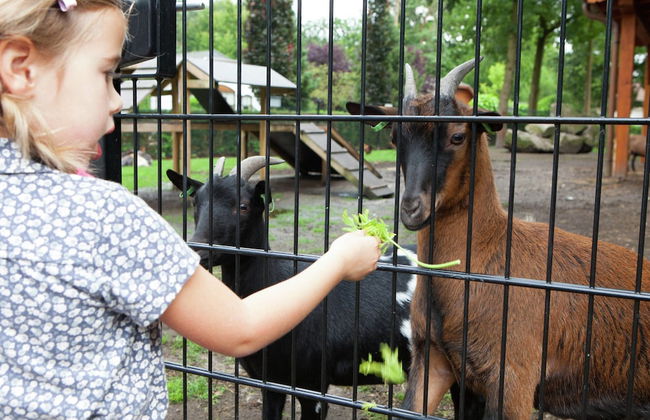 Tidy Furnished Chalet With a Dishwasher - Foto 7