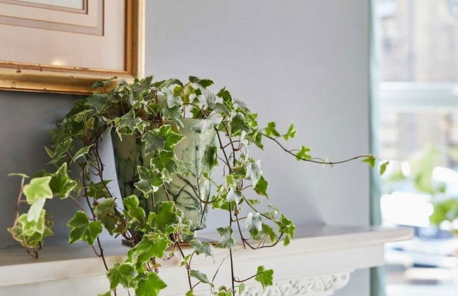 Host Stay Ormesby - Foto 17