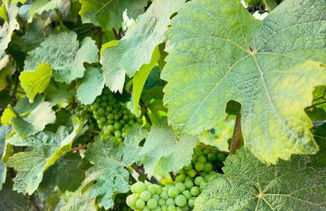 Ferienhaus Haisel Vier - Foto 48