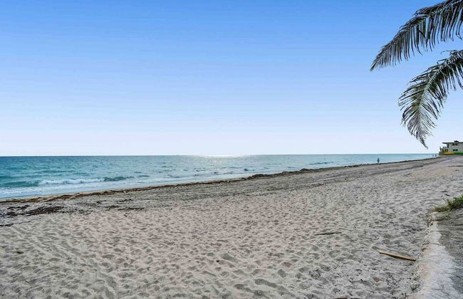 Palm Lined Oasis Walk To Beach Free Parking - Foto 42