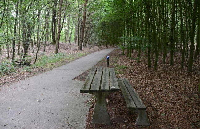 Bungalow With Fireplace, not far From Assen - Photo 30