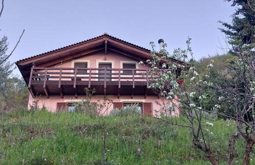 Ipati Forest Chalet - Foto 2